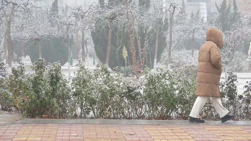 天津医科大学七所直属医院,天津医科大学独立学院是几本