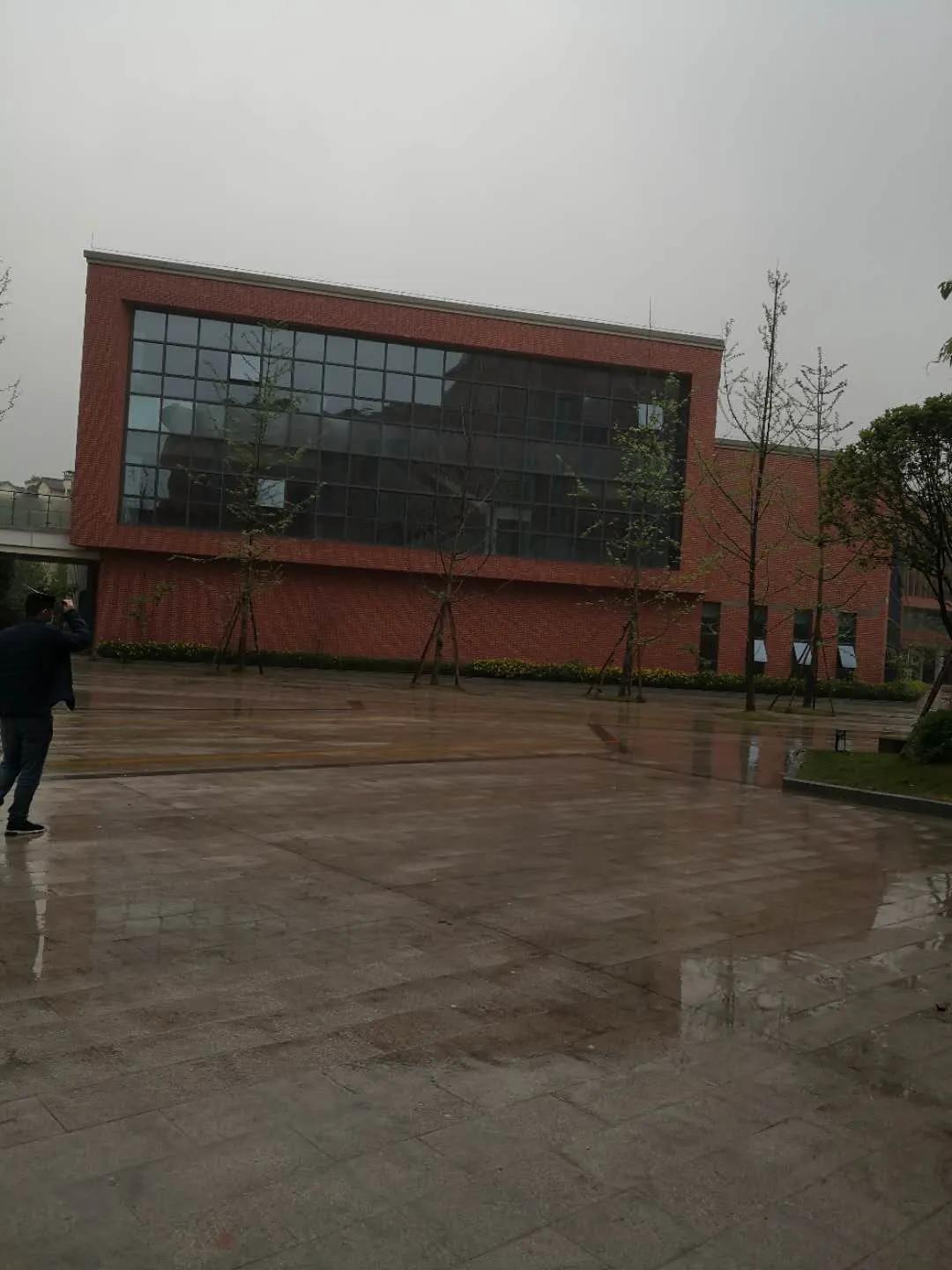 大竹林西大附中环境,西大附中大竹林图片