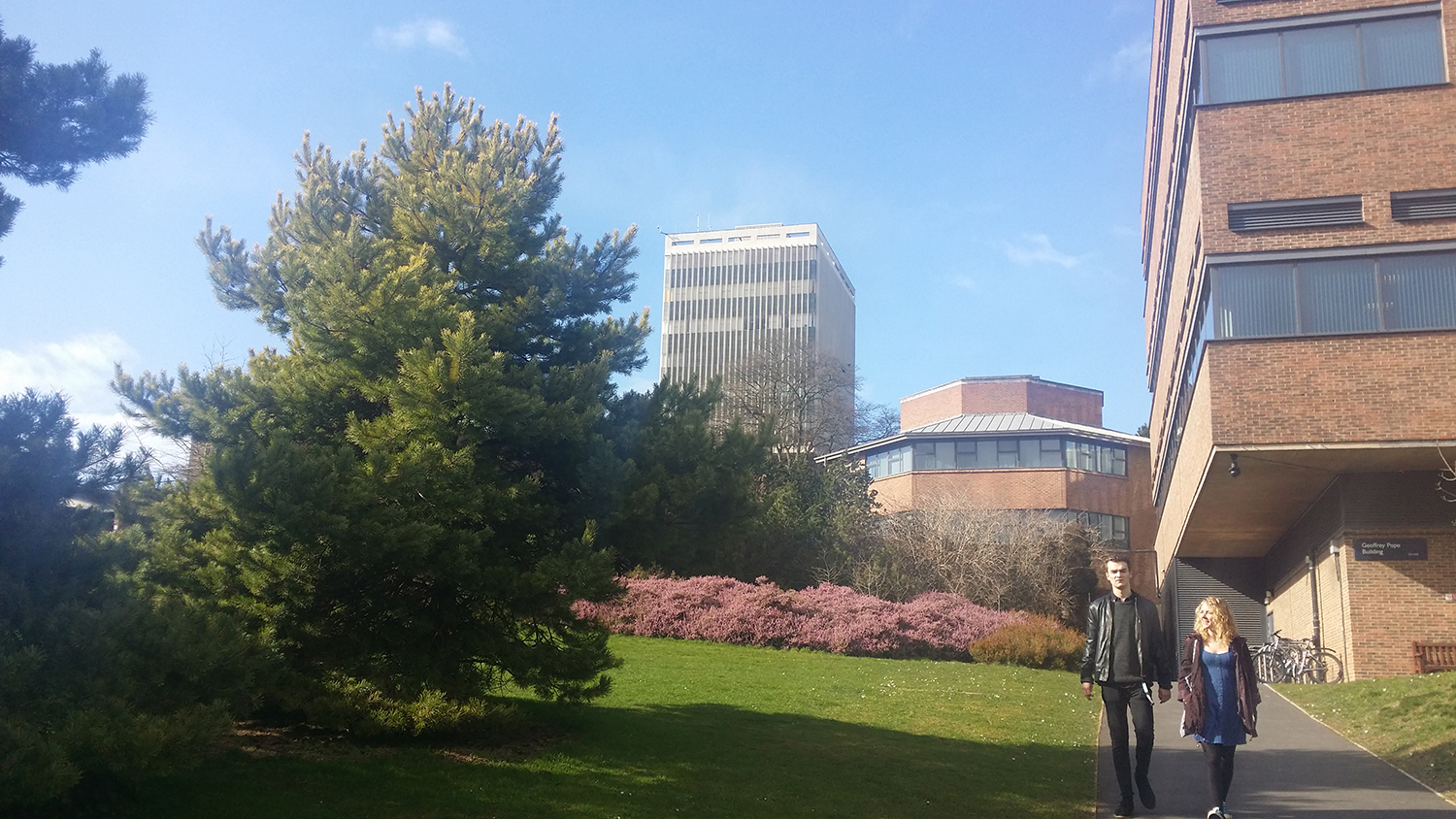 埃克塞特大学为什么那么多人去读？