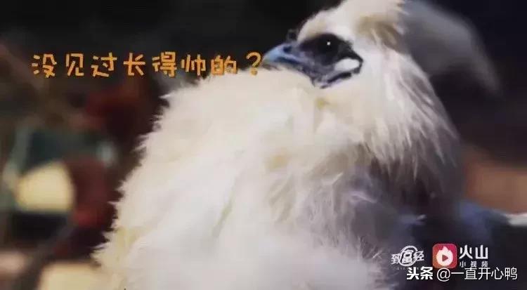 致富经节目现在怎么样了,致富经里的节目真实吗