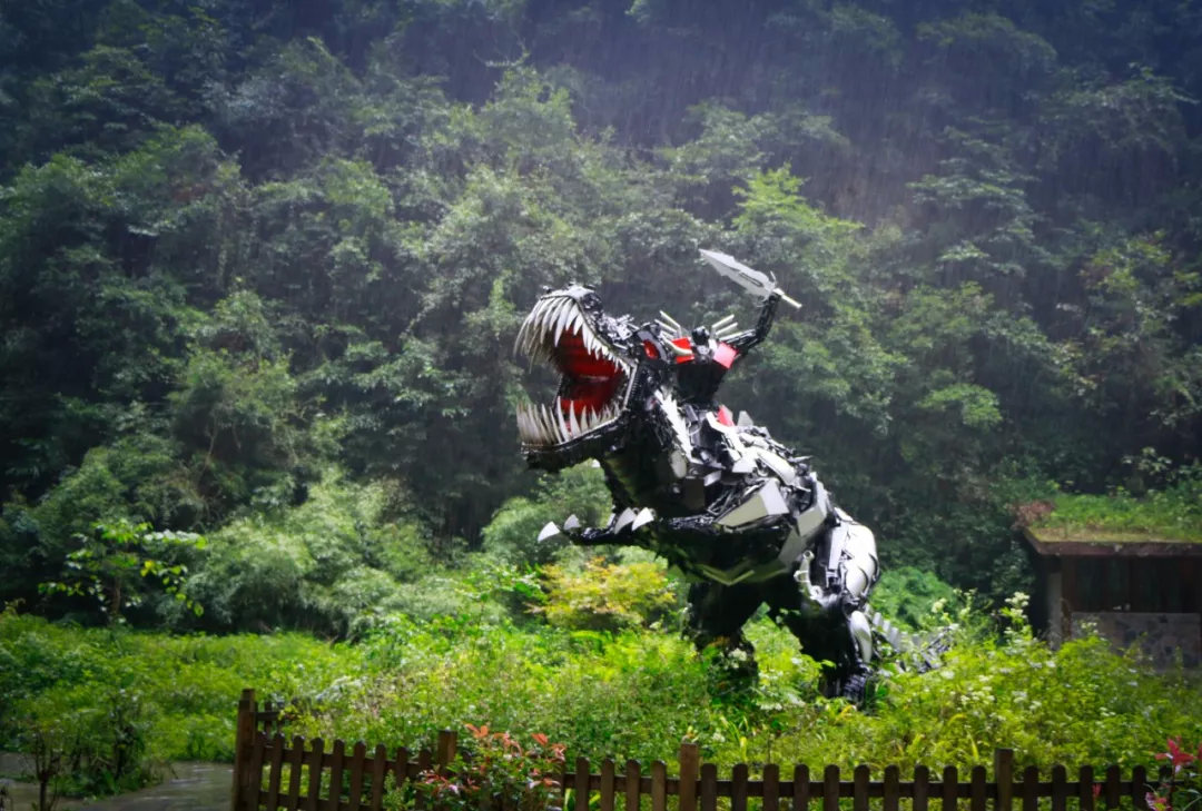 武隆夏季探秘奇特的地缝峡谷,武隆探秘