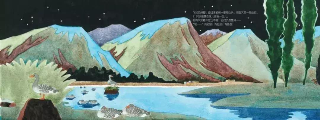 【羽佳读者专属定制】中国原创绘本节日礼品装，六一节前大放送