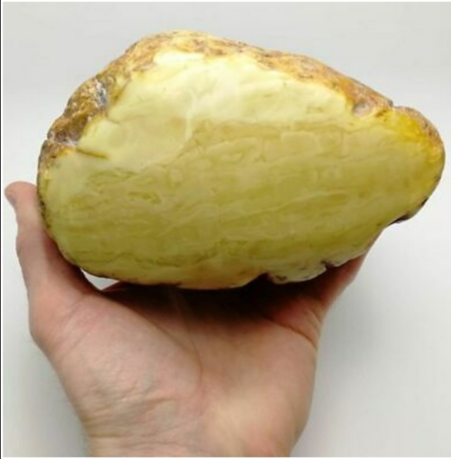 辽宁琥珀产地哪里最好,琥珀蜜蜡的主要产地有哪些