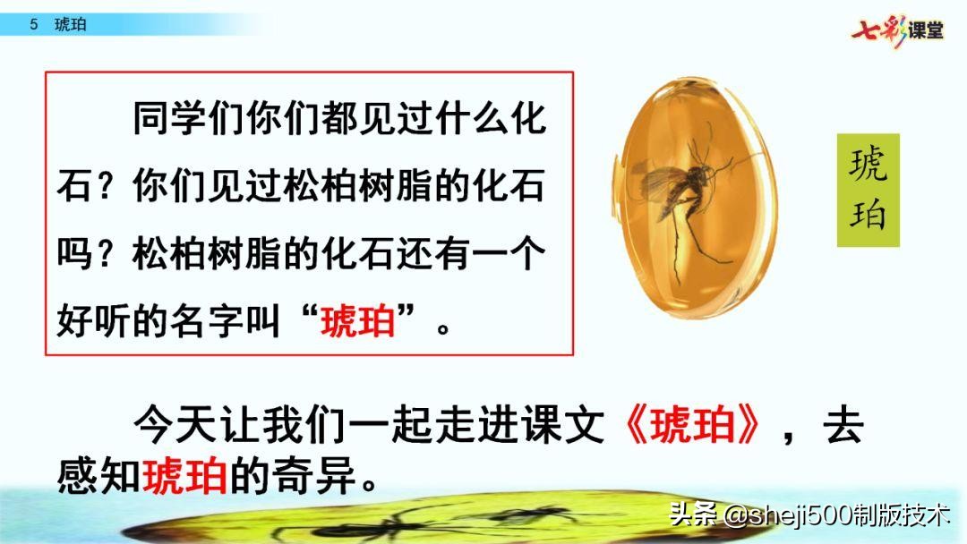 语文书四年级下册第5课琥珀预习,四年级下册第5课琥珀的思维导图