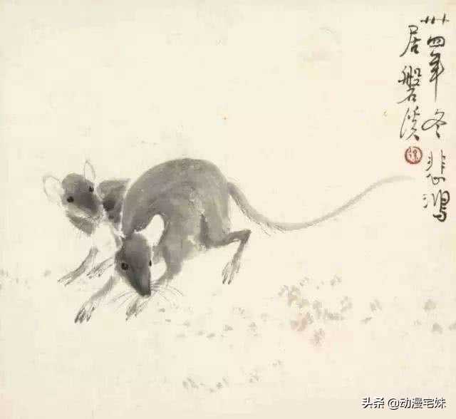 2024年属什么生肖什么命,2018年属什么生肖的是什么命