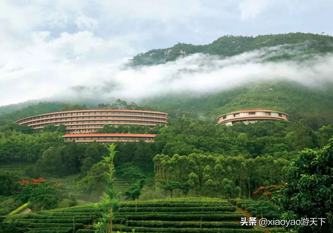 国家A级景区门票政策,全省104家a级旅游景区全部免票