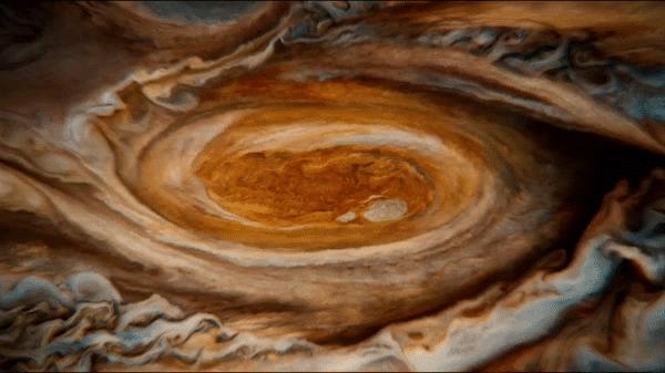 人类其实就是一个细胞,人类其实是宇宙的细胞