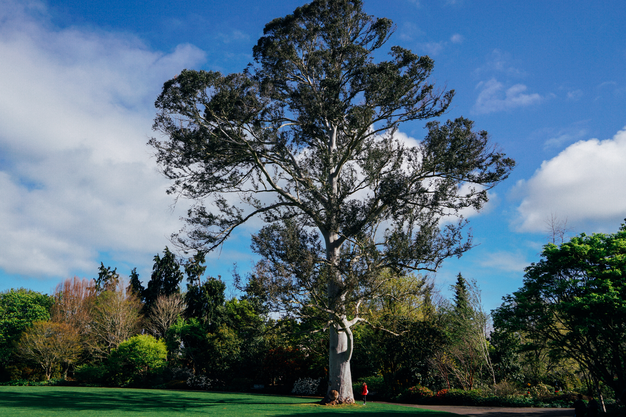 为什么说新西兰是纯净的,新西兰北岛有值得去的地方吗
