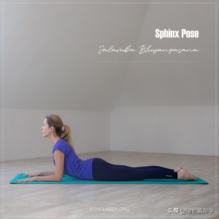 mysore180瑜伽精修序列第4套,新手入门瑜伽每天必练8个动作