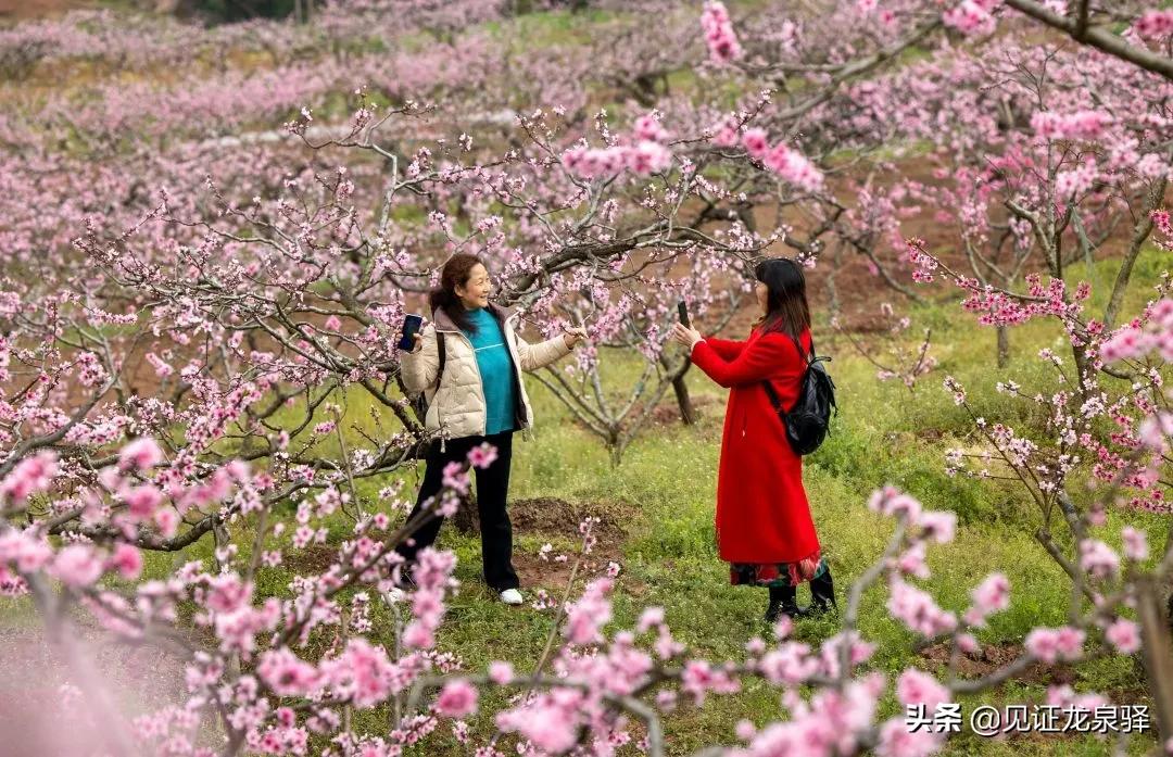 美成仙境,美成了仙境