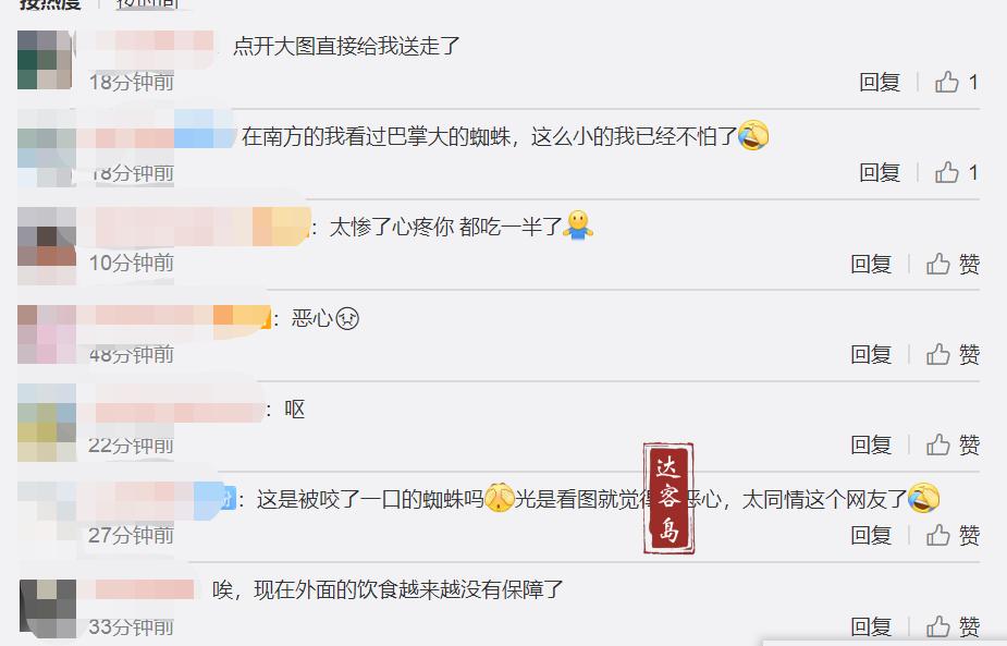 辽宁葫芦岛，吃饭吃出一只大蜘蛛，网友吐槽：还剩半只