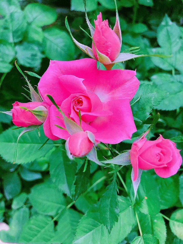 尊重别人就是尊重自己漫画,尊重别人就是尊重自己是什么意思