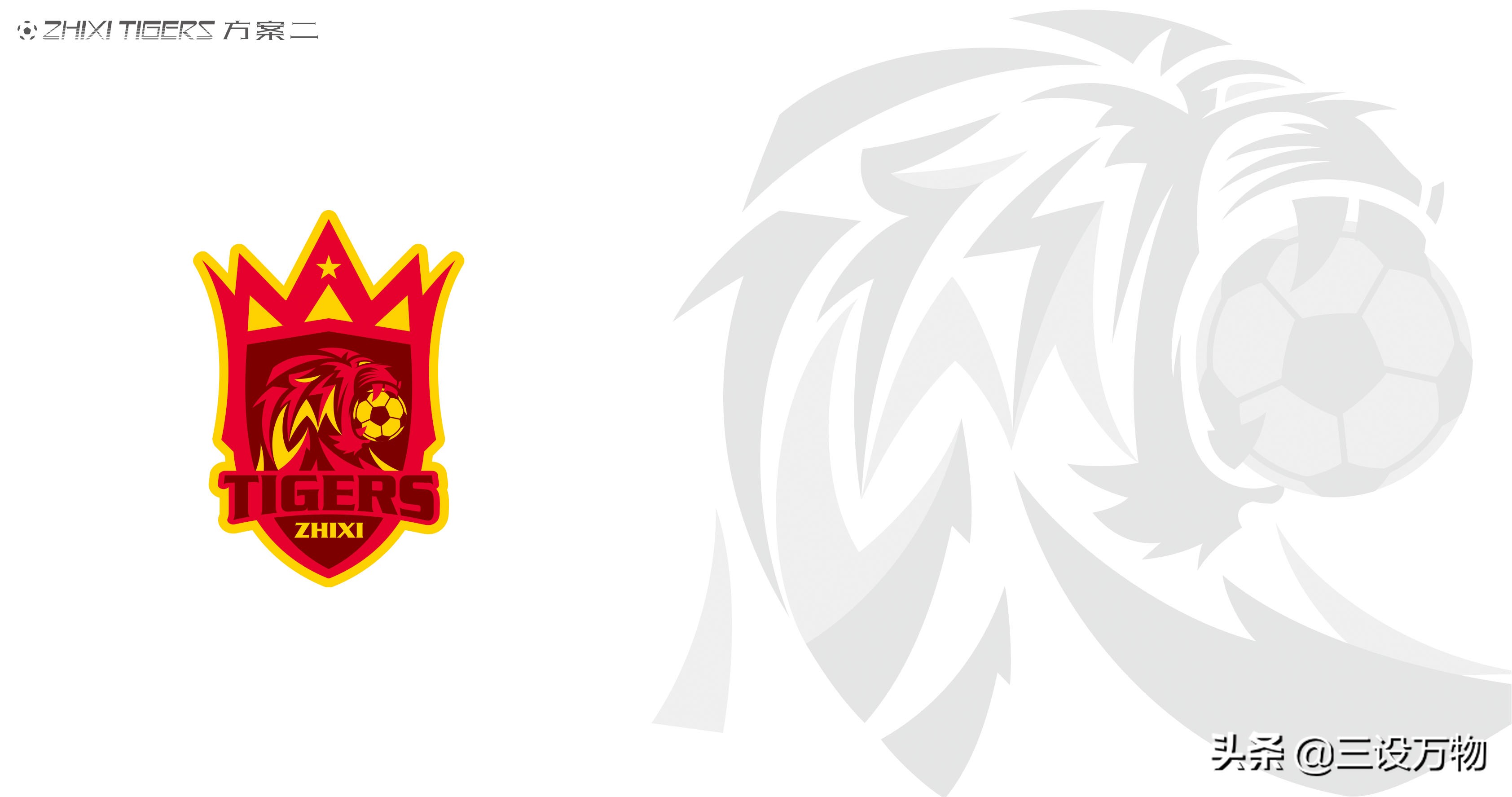 三设万物|ZHIXITIGERS足球俱乐部形象设计