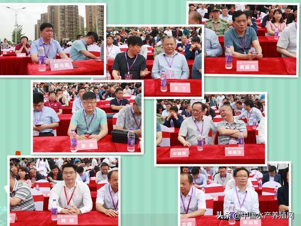 潜江稻田小龙虾产量,虾稻米产量