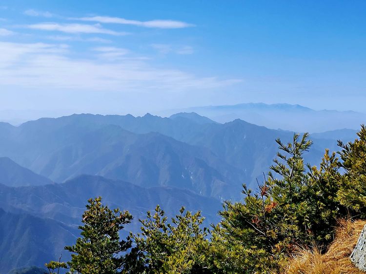 20201101惊悚之行~首阳山大坪梁单日横穿+原返