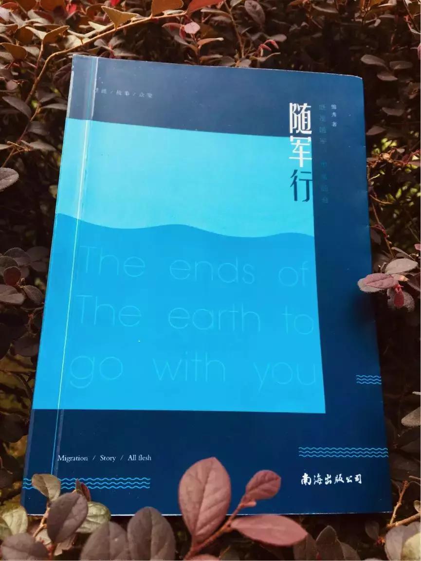 军嫂是什么种类,军嫂都是什么人啊