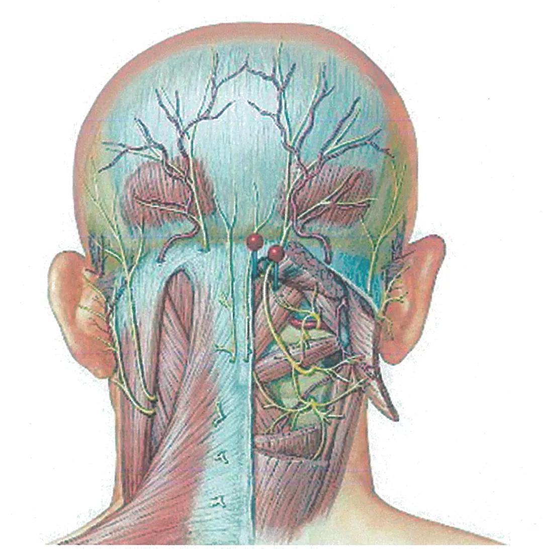小孩子头痛嗜睡是什么病的前兆,头痛注意力不集中反应迟钝怎么办
