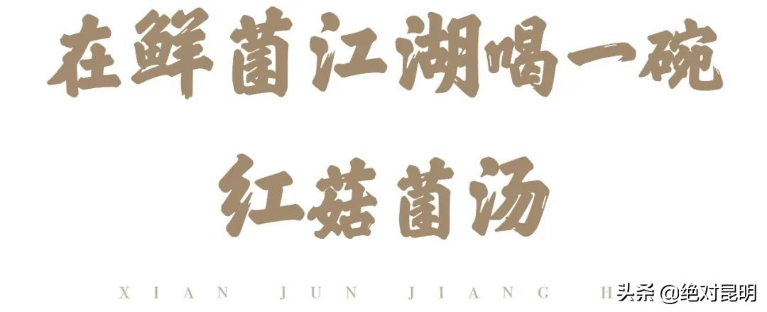 她带西班牙大厨上山捡菌，回昆明后煲出美味红菇汤