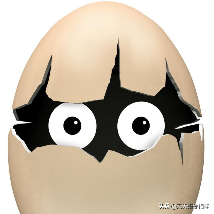 手机维修基本要学会修什么,最简单的手机维修基础知识