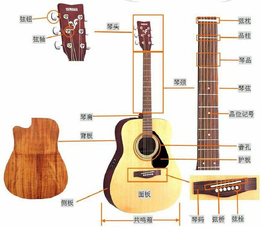 怎么分辨乐器的声音,乐器种类选择方法