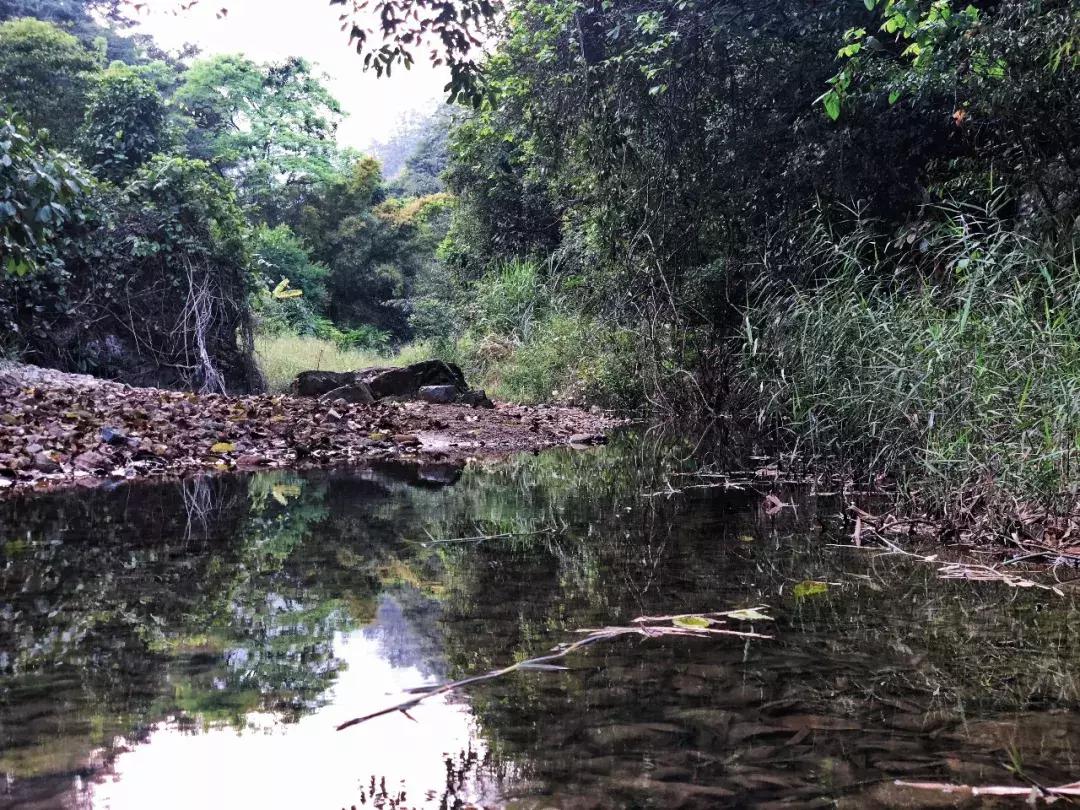 越过山丘才发现它如此优秀,越过山丘发现一无所有