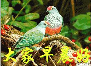 早上好祝福你新的一年开心快乐,早上好愿你晨起有微笑