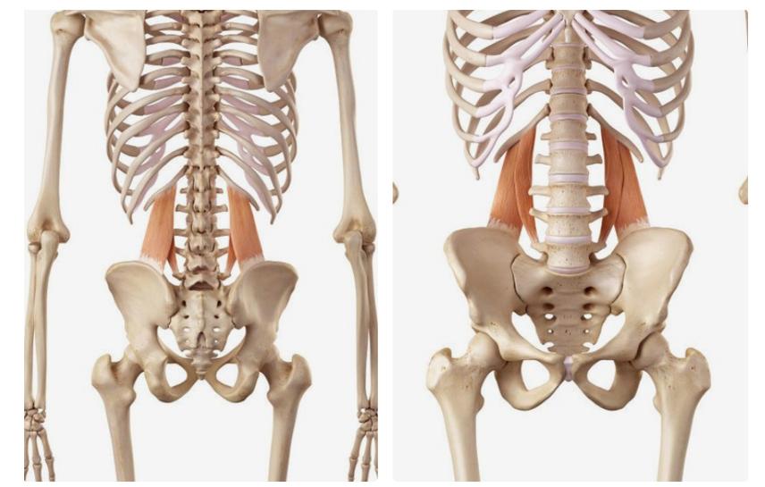 瑜伽初学者腰肌劳损怎么练习腰部,瑜伽腰背部疼痛怎么办