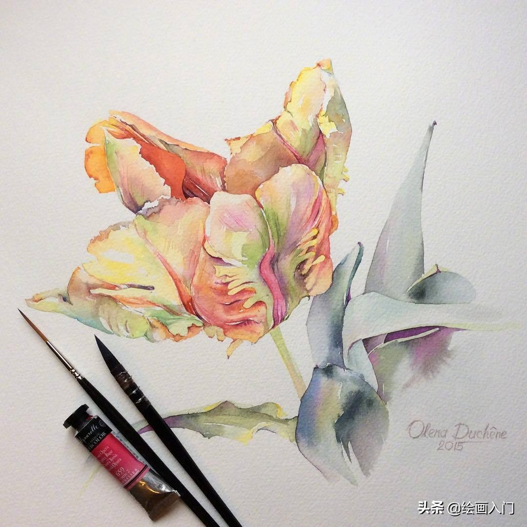 唯美写意水彩花卉,各种水彩花卉的表现技法学习吧