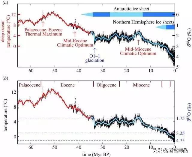 没有酒，我们还是树上的猴子