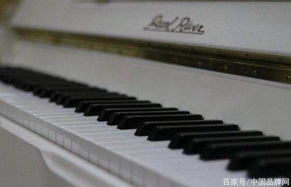 广东新会陈皮十大老字号,广东十大品牌白酒排行榜第一名