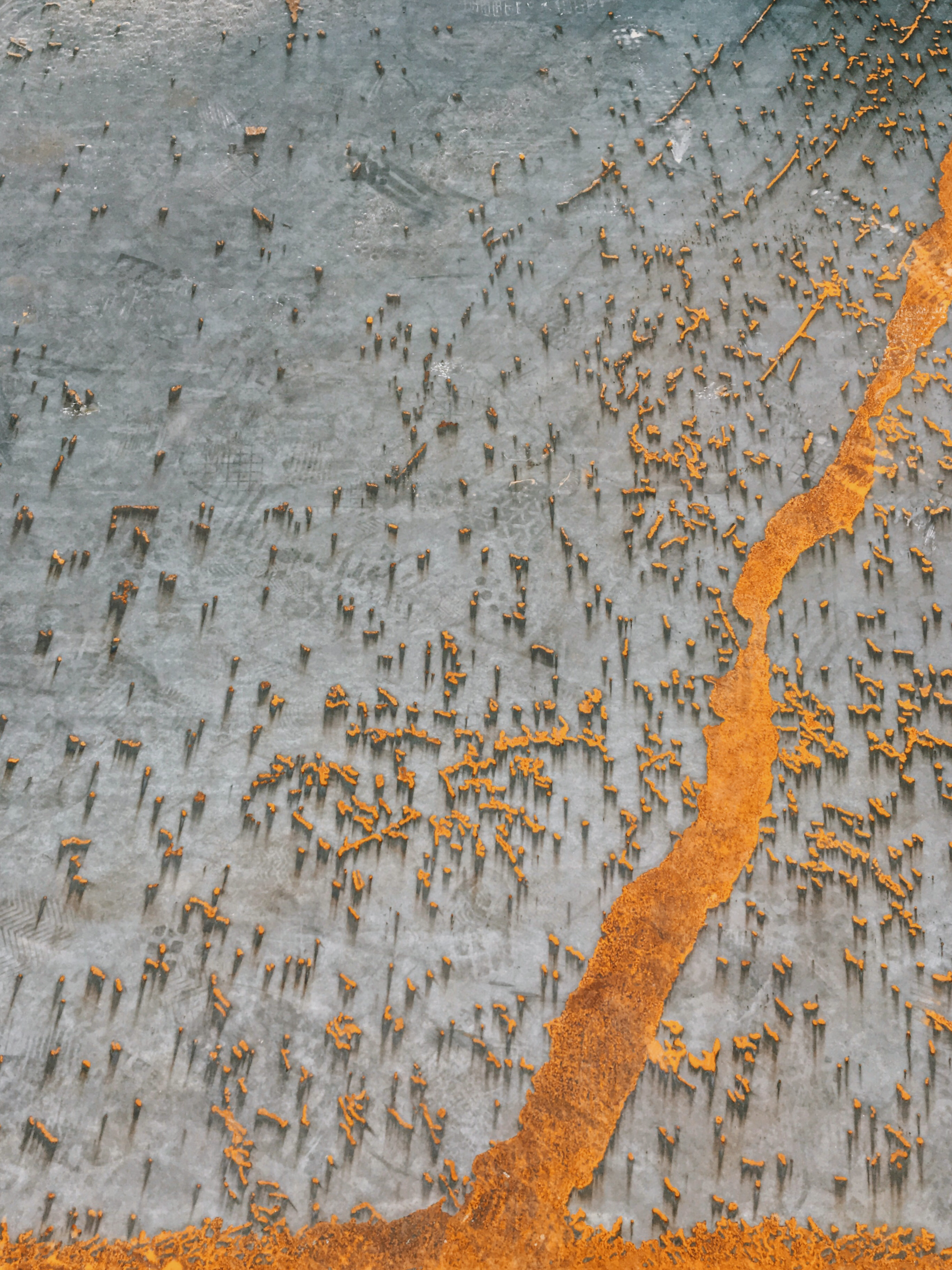 2020iphone摄影赛第一名,2019iphone摄影大赛获奖作品