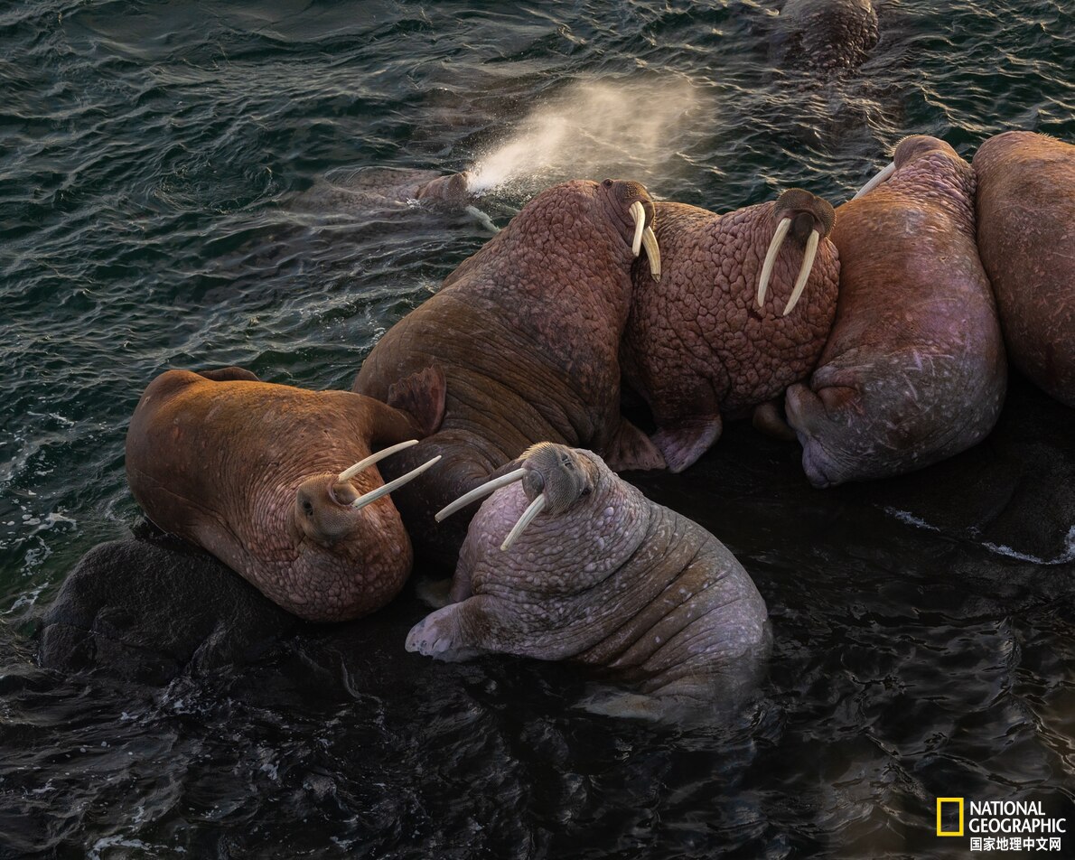 阿拉斯加听海,在阿拉斯加海湾听海