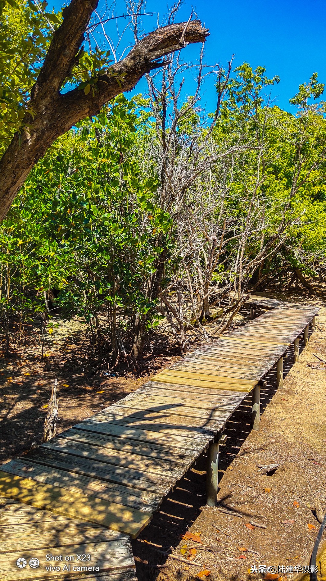 塞舌尔克里奥尔人,人间伊甸园云赏奢华度假地塞舌尔