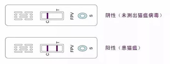 猫咪软便拉稀是什么问题,猫咪软便拉稀是如何处理