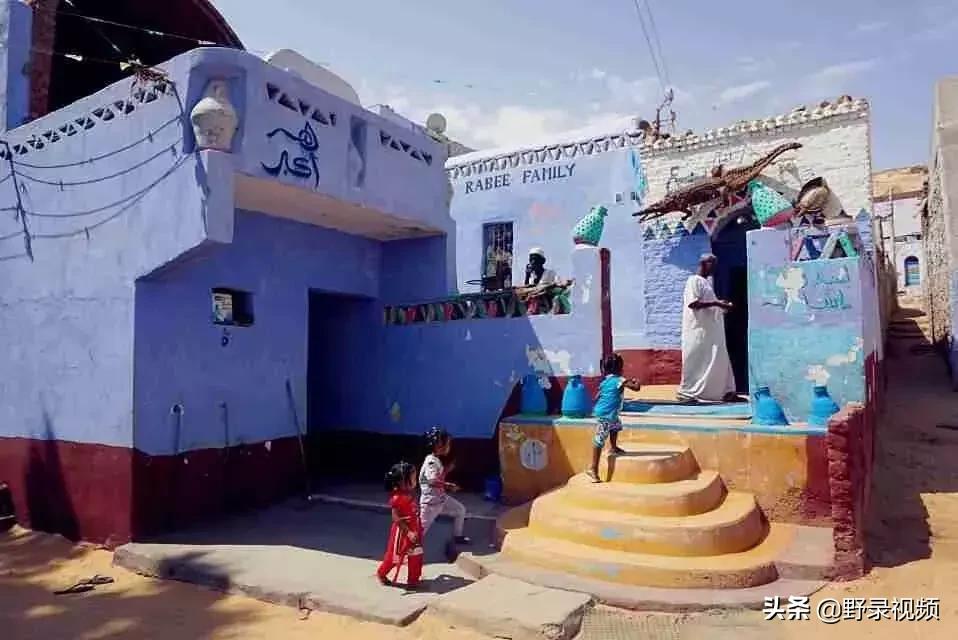 把非洲鳄界扛把子当宠物养是一种怎样的体验？