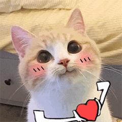 夏季告别油腻肌肤,夏日肌肤清爽指南