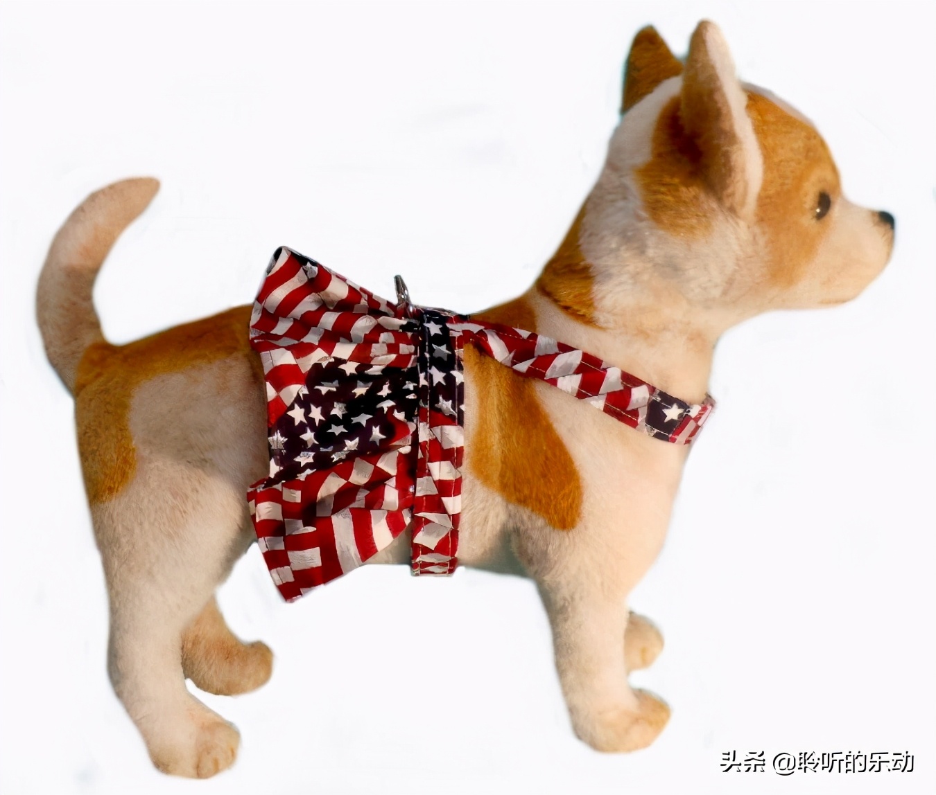 十大可爱的宠物狗,最潮的狗狗穿衣搭配