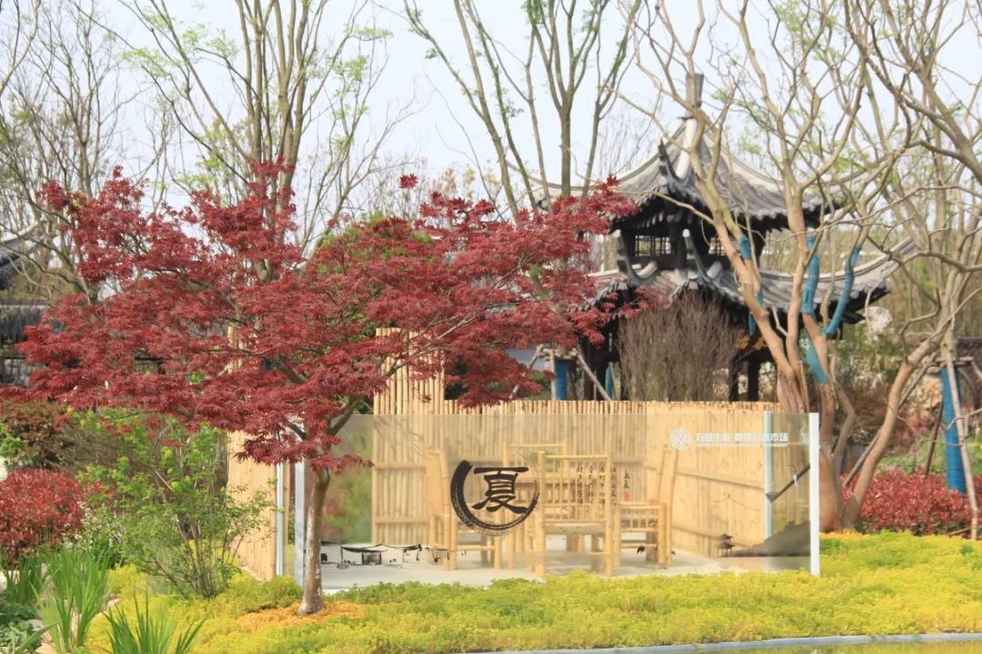 花展的意义,花展布展情况介绍