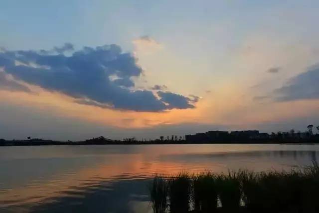 看看纽约中央公园的美景,真实的纽约中央公园