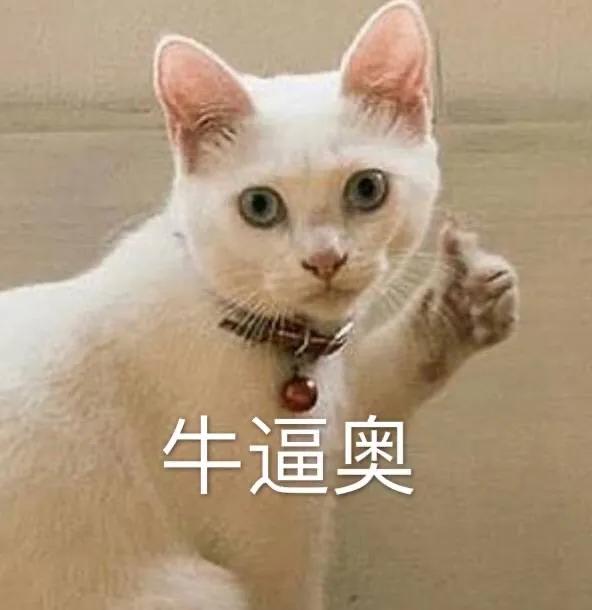 猫咪吃了蟑螂该给它吃什么药,猫咪每天给主人家门口送礼物