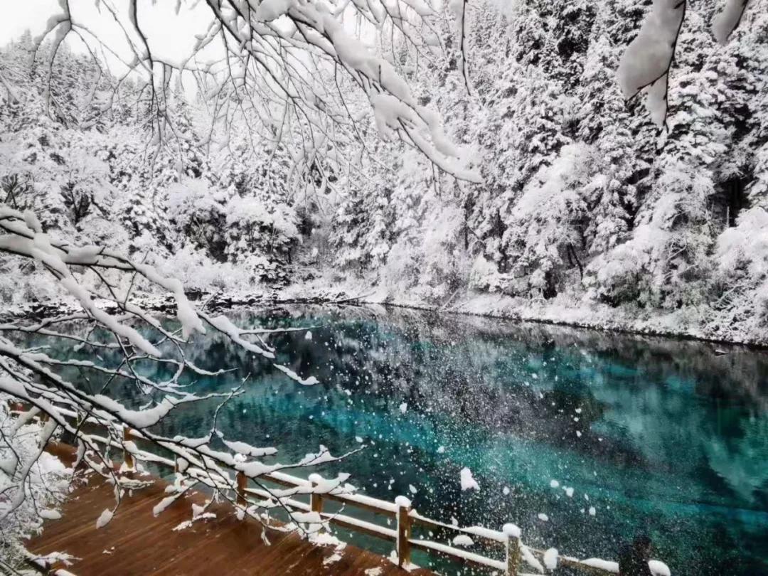 九寨沟冰雪仙境,自驾九寨沟冰雪路面
