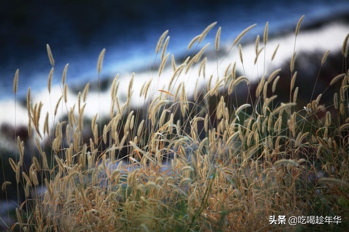 营口团山海洋公园是北海公园吗,营口团山海洋公园和金帛滩哪个好