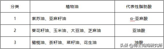 宝宝吃辅食要加什么油,宝宝吃哪种辅食油比较好