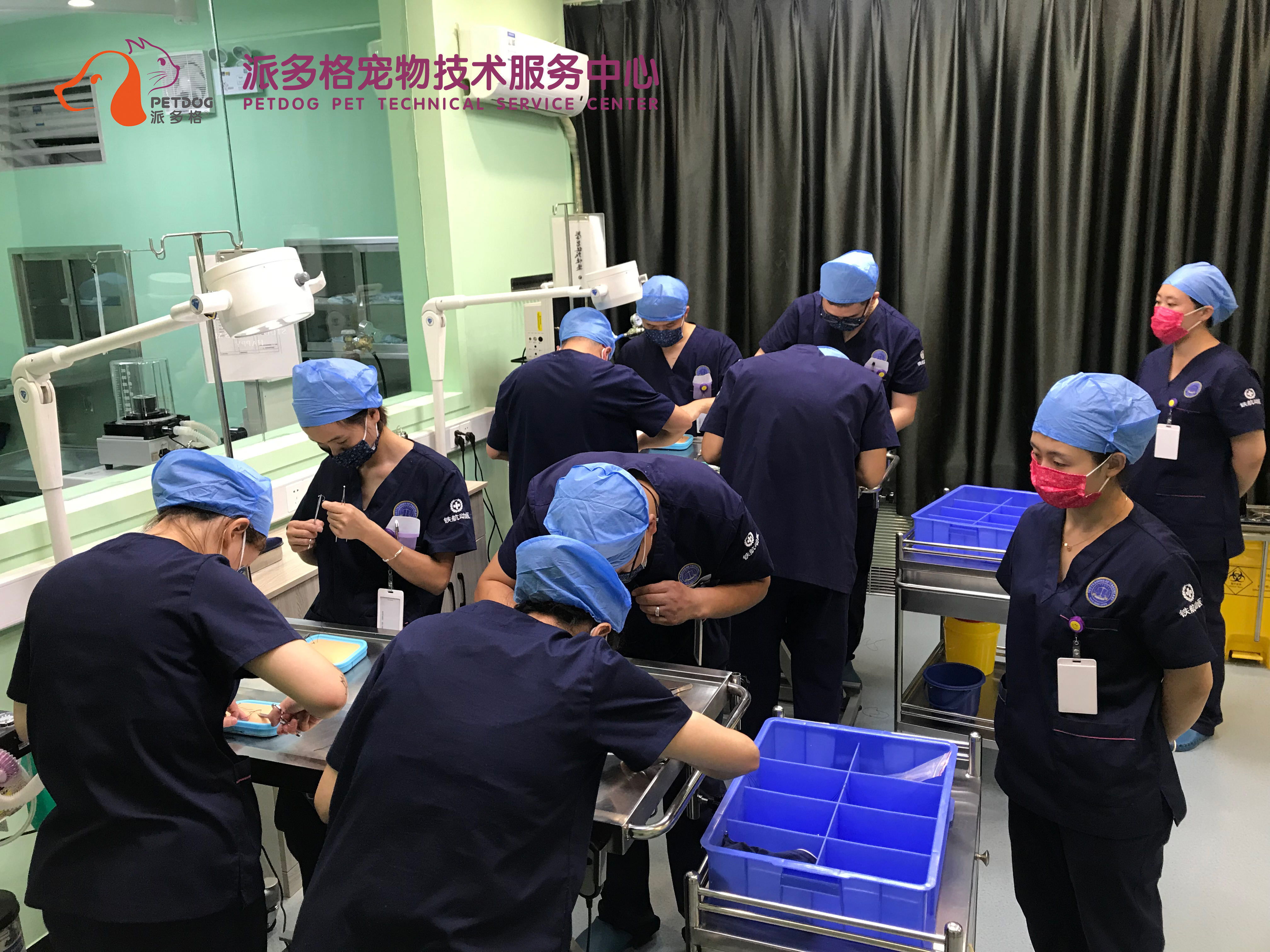 想学宠物医生专业推荐哪个学校,宠物医生培训班