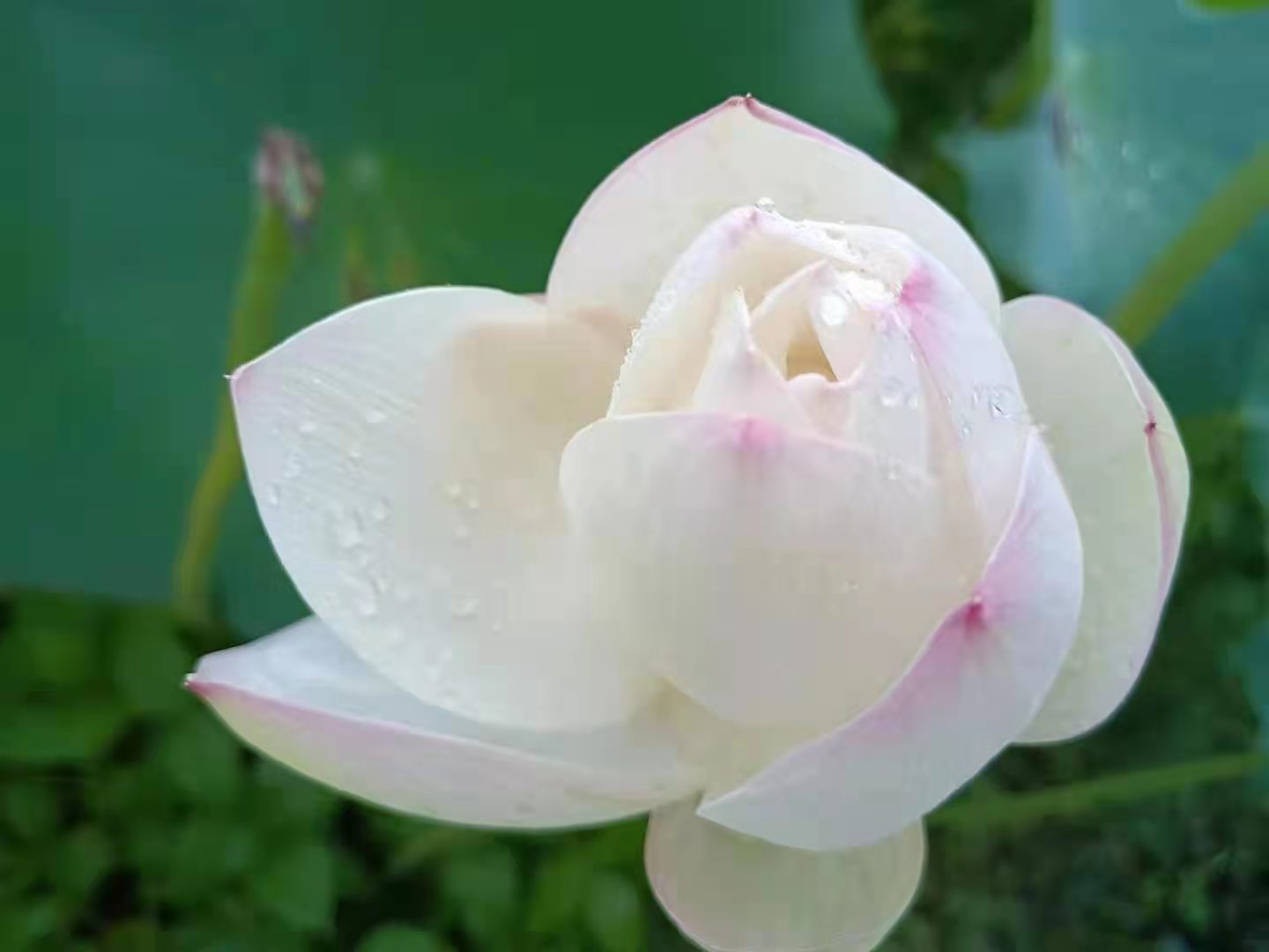 小儿落枕,小儿落枕解决办法图解