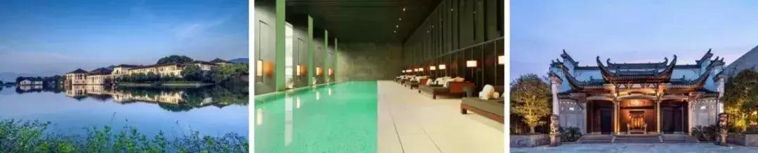 上海治愈系酒店,江浙森系治愈酒店