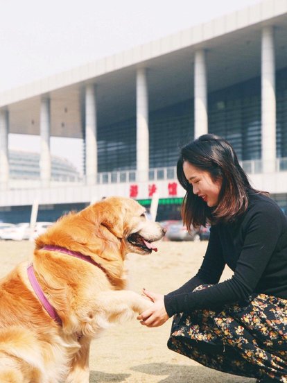 金毛暖男,大金毛暖男