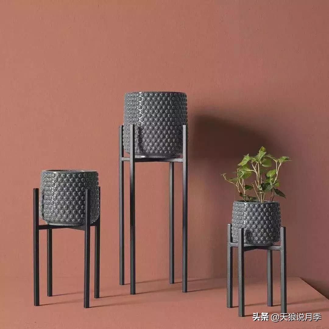 阳台种月季光照少怎么办,光照不好可以养石榴吗