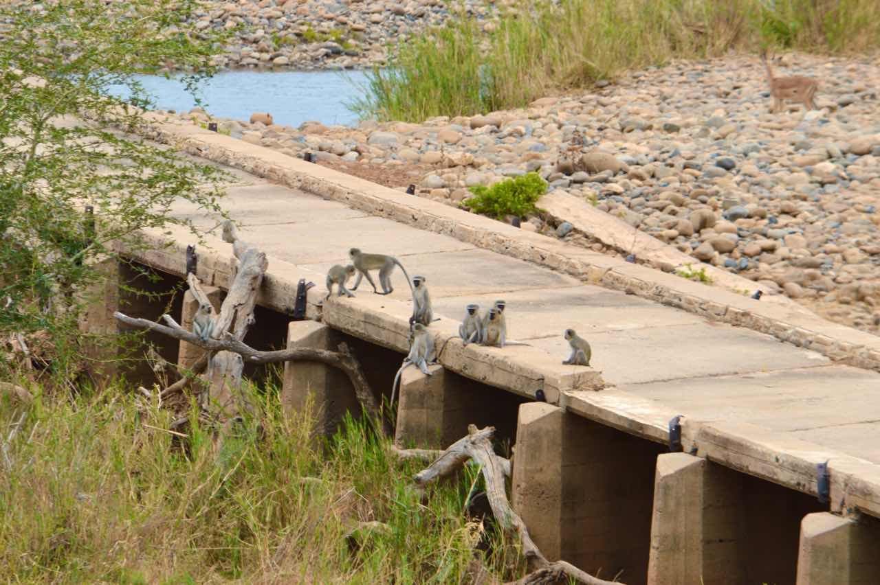 纪录片南非探险记,南非游记纪录片
