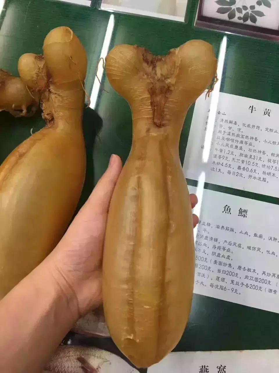蜘蛛鱼胶品种价格,蜘蛛胶跟花胶